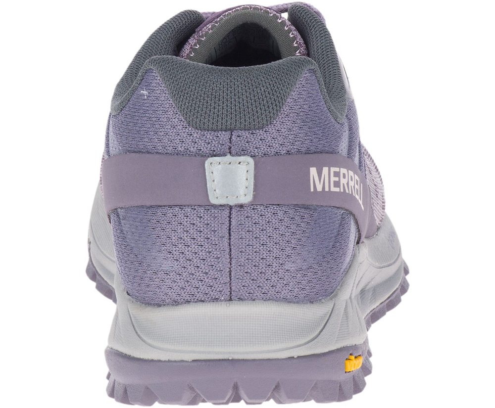 Merrell Sneakers Dame - Antora - Lilla - MDN732058